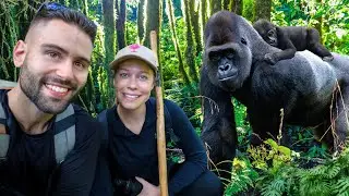 Incredible Encounter with Mountain Gorillas in Uganda
