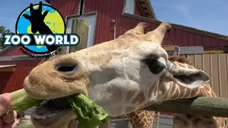 Zoo World (Panama City Beach) Tour & Review with The Legend