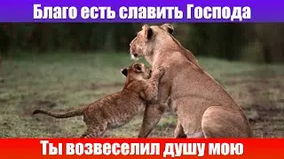 Благо есть славить Господа (Ты возвеселил душу мою) - Песнь Возрождения #2005  христианские песни