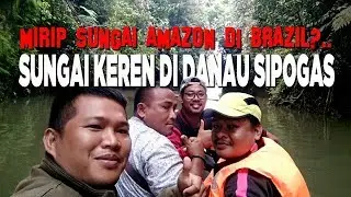 MyTrip: ADA SUNGAI KEREN DI DANAU SIPOGAS ROKAN HULU, MIRIP SUNGAI AMAZON BRAZIL?....