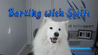 Introducing Barking with Swift