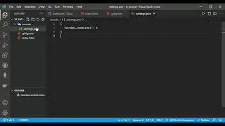 How to zoom for Visual Studio Code on computer