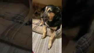 Люся заняла чужое место 🙈😍