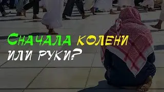 Как опускаться на земной поклон? Сначала колени или руки? | Шейх Халид аль-Фулейдж, хафизахуЛлах