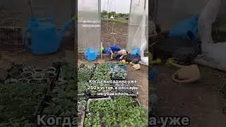 Подробности в описании