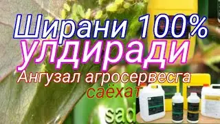 Ширага карши супер биоинсектицид. Эффекти 100 %