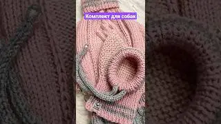 комплект для собаки 