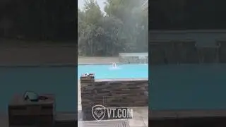 Dog Refuses to Come Inside During a Storm 😂🐶🌧️