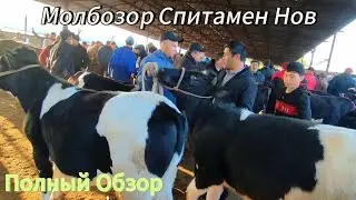 Молбозори Спитамен Нов.Полный Обзор.Лайк лайк лайк. 👍👍👍🔥.