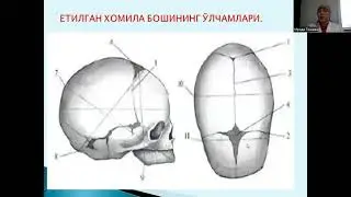 Физиологик ҳомиладорлик ва туғруқ Туғруқ даврлари  ва биомеханизми