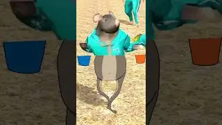 Rat Dance 😂😂 