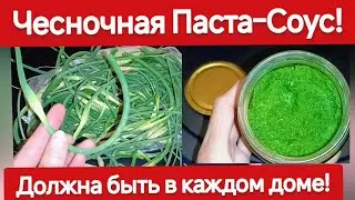 Паста-соус на Зиму из Стрелок Чеснока должна быть в каждом доме! Приправа/Салат 2 рецепта