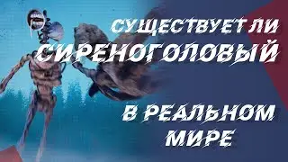 Существует ли Сиреноголовый в реальной жизни?