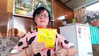 СУПЕР УДОБРЕНИЕ - СУПЕР ЭЛИКСИР  для ваших Растений - Природное земледелие - Петуния выращивание
