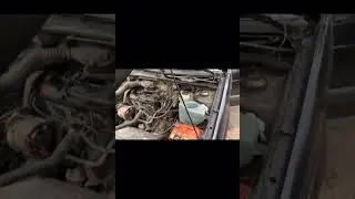 Вагодрочер