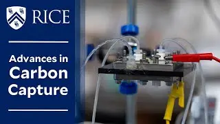 Rice reactor could make direct air capture more energy efficient