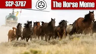 SCP-3787 The Horse Meme - The Horse Anomaly: Accelerated Breeding, And Aggression