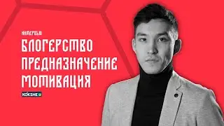 БЛОГЕРСТВО. ПРЕДНАЗНАЧЕНИЕ. МОТИВАЦИЯ. Одно из моих интервью.