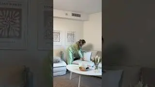 clean my apartment with me!