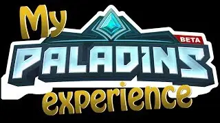 My experience with Paladins