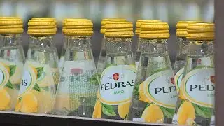 Super Bock Group quer tornar a fábrica de Pedras Salgadas neutra em carbono até 2030