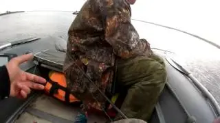 Ловля Чехони на Волге