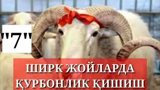 Ширк жойларида қурбонлик қилиш
7-Дарс: Устоз Абу Таслим, Аллоҳ у кишини озод қилсин...!