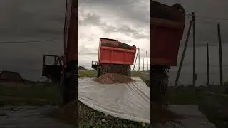 Ландшафтный шортс #ландшафтныйдизайн
