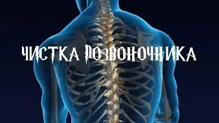 Чистка позвоночника с обраткой