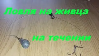 Уловистая оснастка для ловли на живца на течении. Ловля хищника. Рыбалка. Fishing.