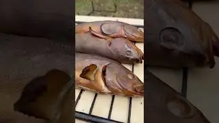 Дед учить правильно коптить рыбу! 