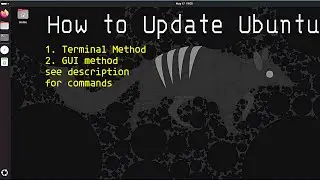Update Ubuntu 24.04 