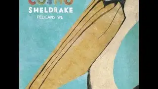 Cosmo Sheldrake - The Fly