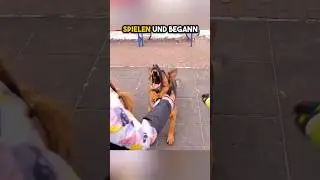 Sie wussten nicht warum sie das tat bis... ❤️