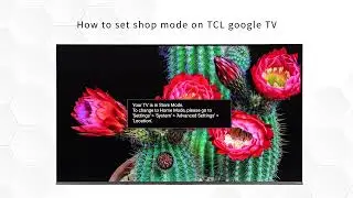 How to Set Up Shop Mode on TCL Google TV