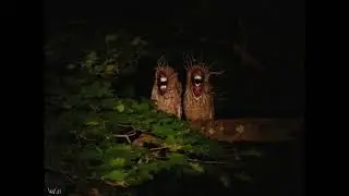 Mutant Owls / Unnatural Habitat 2 Sounds (Leovincible)