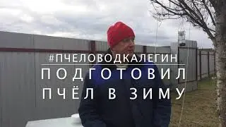 Подготовка пчёл в зиму. Мой первый опыт