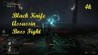 Black Knife Boss Fight First Appearance Elden Ring 4k
