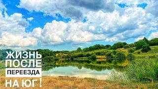 Изумительный вкус шашлыка и рёбрышек! Отдых на реке рядом с домом🏡 