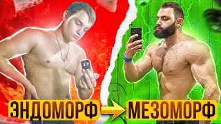 ИЗ ЭНДОМОРФА В МЕЗОМОРФА. Как побороть свою генетику?