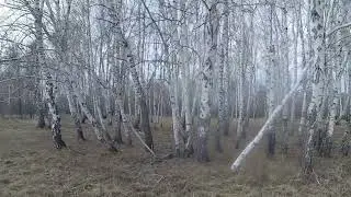 Шмидтовка деревня в Павлоградском районе Омской области/Schmidtovka is a village in  Omsk region