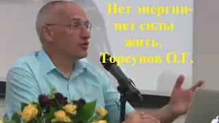 Нет энергии- нет силы жить. Торсунов О.Г.