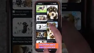 Everything to Drag-and-Drop on iPhone