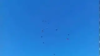 Полёты Николаевских голубей Георгия Шпунтова в г. Саки, часть 7