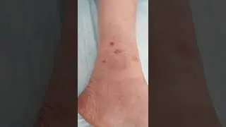 #shortsvideo