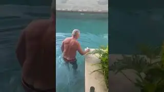 #shorts Бассейн в нашем отеле на острове Бали