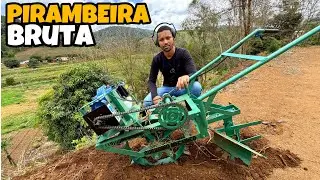 BURRINHO MECÂNICO TUDO QUE VOCÊ PRECISA SABER