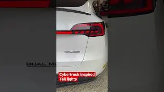 Checking out the 