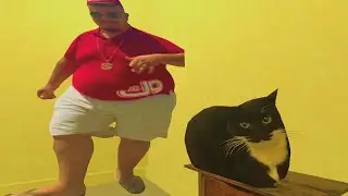 Maxwell the cat dancing with skibidi bop yes yes yes 🤐