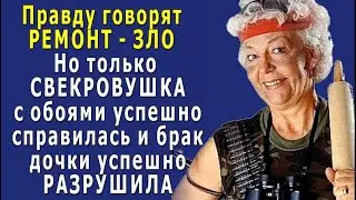 Ремонт – зло! А помощь СВЕКРОВИ ещё ХУЖЕ - и муж золовки подал на развод!